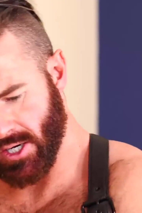 HAIRYANDRAW. Bear Sterling Johnson breding by Brendan Patrick