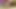 Sensual sex, closeup blowjob and striptease with Lexy Peach!