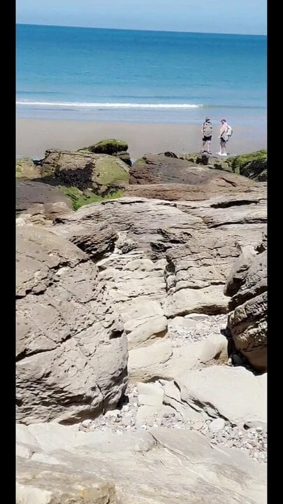 Exhib beach