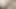 My bushy cock cumming