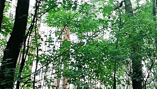 Sklavensau outdoor