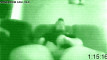 Pregled videozapisa