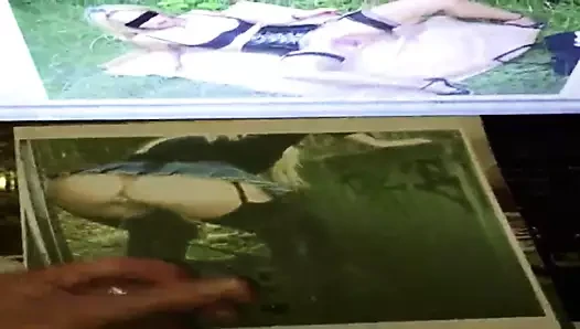 haraç dieabfickstute