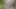 Massive Cum shot. Jerk off in backyard. Thick ropes