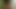 Masturbation of my bbc for girls and women