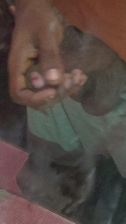 My chennal arynabhi boy sex girl needs