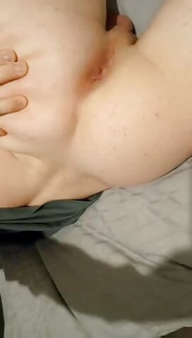 Jaytee