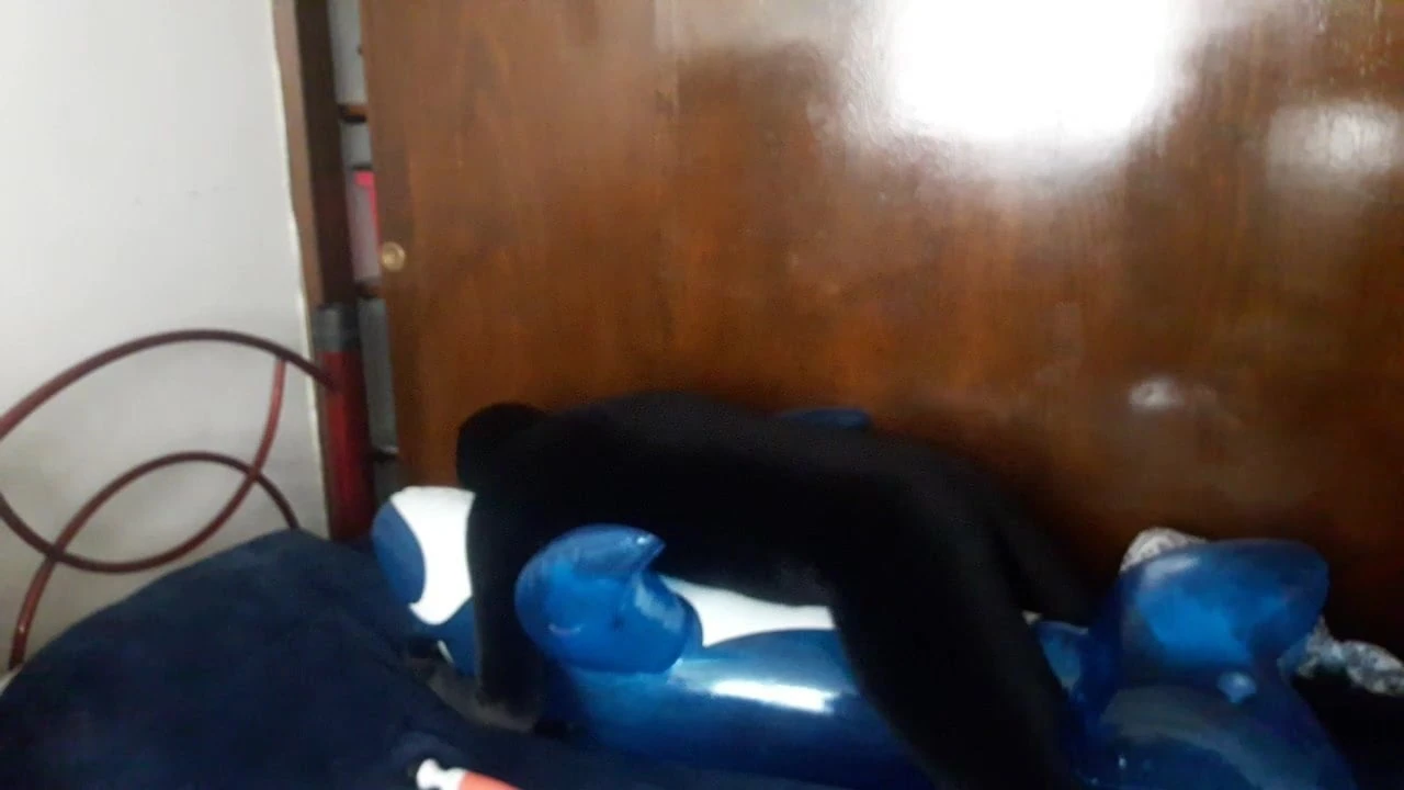Gimp de terciopelo gime como puta