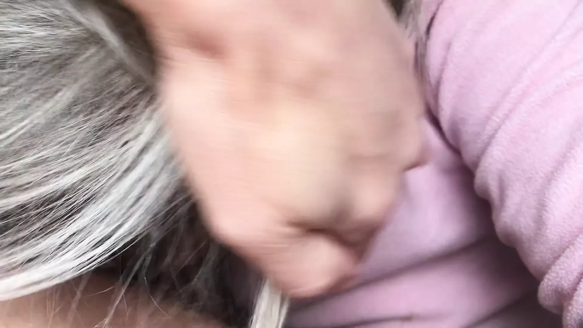 60yo nani poori lagan se murga bekar hai