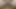 Indian boy riding huge dildo precum dripping Shemale lover cumshot drooling