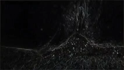 Galactic ass fuck