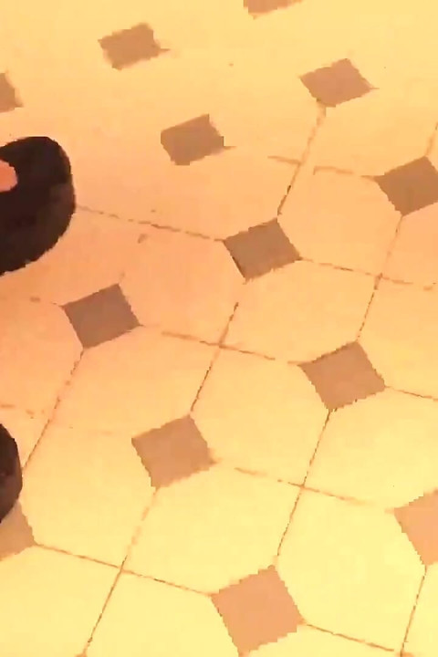 BBW Threesome Double Feature