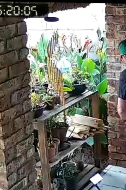 Cuckold Boss Wanted Me to Fuck His Slut Wife He Jerks off