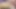 新婚カップルのセックスビデオと、クローズアップで膣をセックスする最高のシーン、ドッグスタイル、しゃぶり、胸しゃぶり