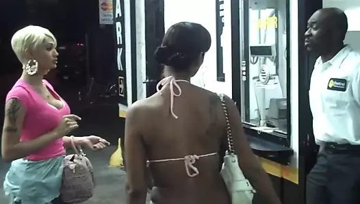 busty transeksüel