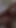 Masturbation in Bed with Fuck Machine and Squirting