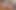 Cuckquean.mp4