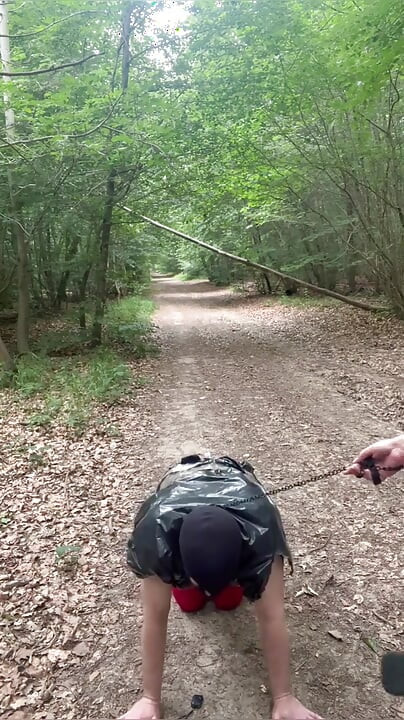 Castigo En el bosque...