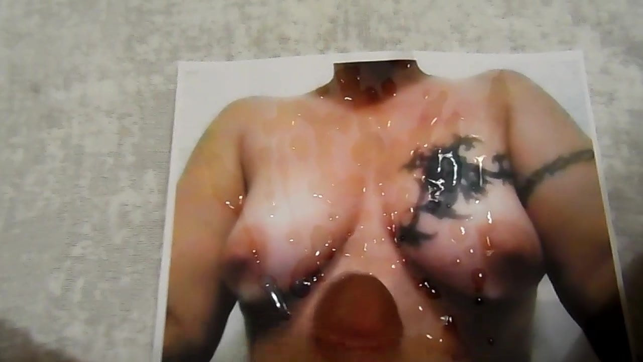 Tribute 12