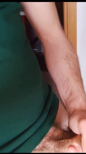 Pregled videozapisa