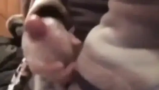 Genç Çinli büyük yarak boşalma derlemesi