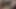 Mein erster Sperma-Tribut für dich seit drei Jahren Tanika