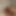 Kalın Penis Erkek Ve Creampie Ile Anal