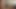 いろいろな楽しみを少しずつ楽しむ