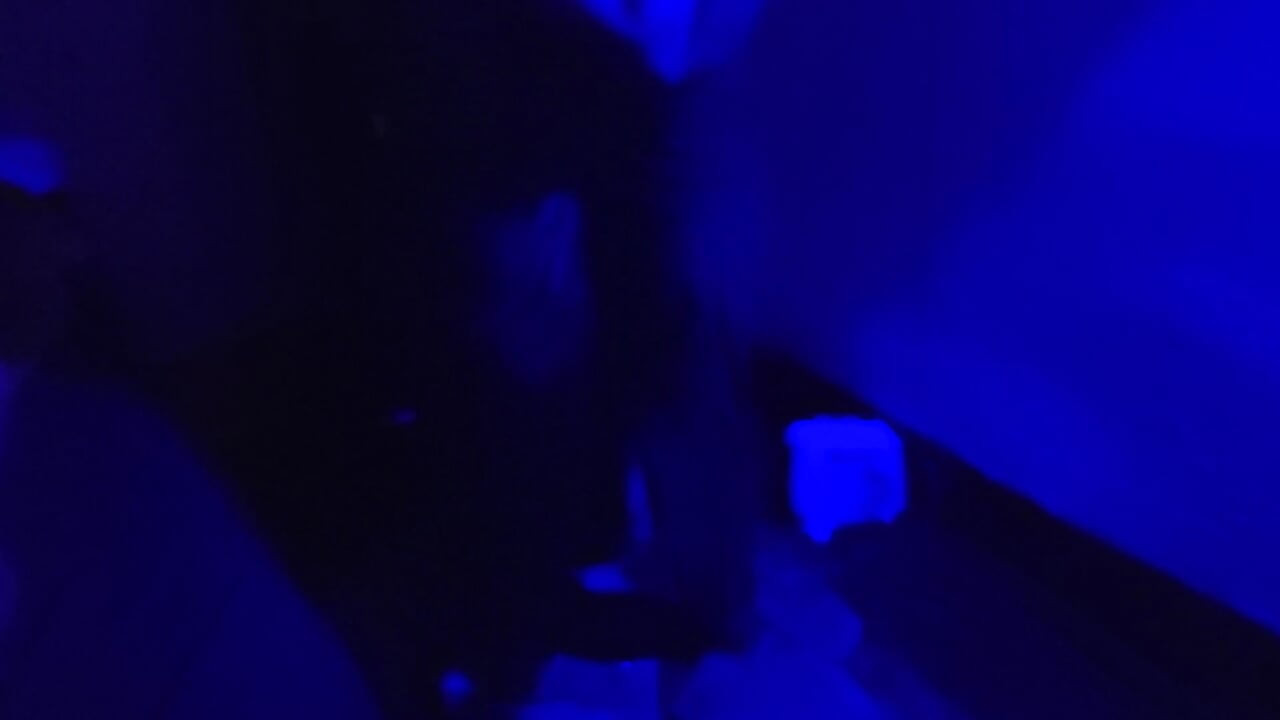 Behan Ko Ghodi Banakar Kar Choda Gandi Gali Sex Video