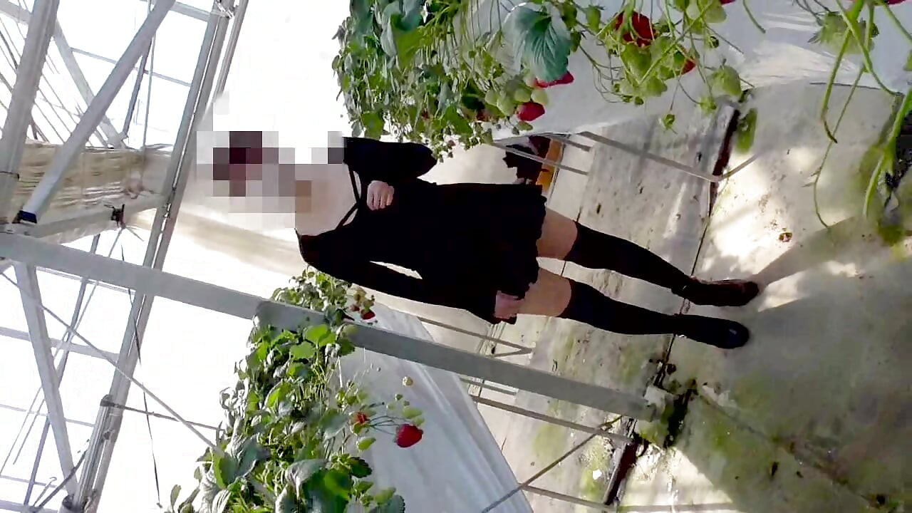 Mayu No.45 Strawberry Hunting Exposure, Immediate Oral, Swallowing Specialized