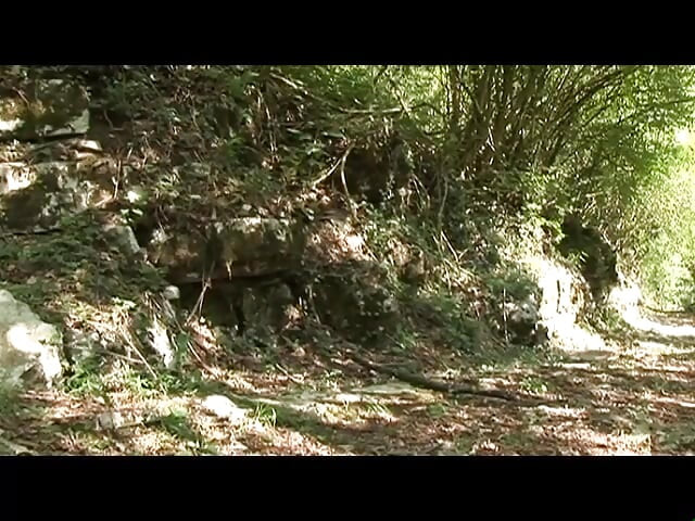 Fuck all my holes Stepdaddy DVD