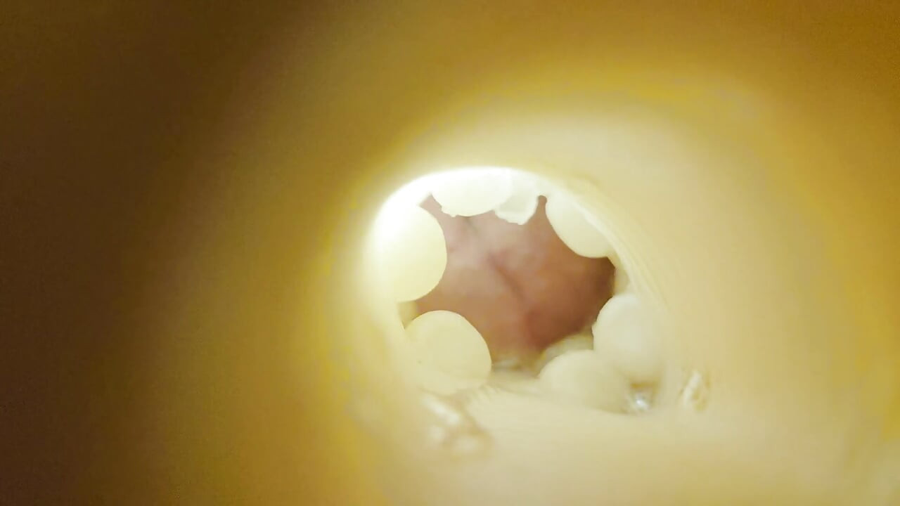 Fleshlight kamera za svršavanje (POV, odgajani ste)