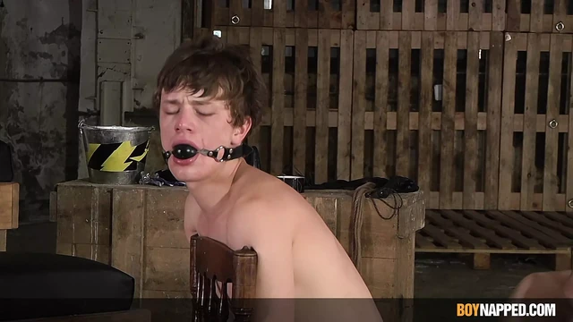 Sean Taylor Gives His Sub Flogging Then Dildo Fucks Him