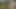 Šon lawless jade amber adria rae - intenzivni seks obračun