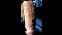 Veiny cock hang out of jeans close-up