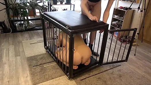 Ja Meister Ich Gehöre Dir