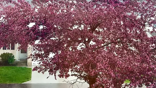 Rainy на улице, так что я остался в и заставил меня кончить