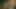Nostalgie kommt mit Porno-Legenden zurück