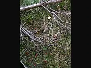 Me and 2 guys in the woods