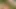 Amazing View on This Mountain, What Better Way to Enjoy It Than with a Cute Asian Boy Sucking Your Dick