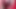 オランダJOI レッドライト グリーンライト