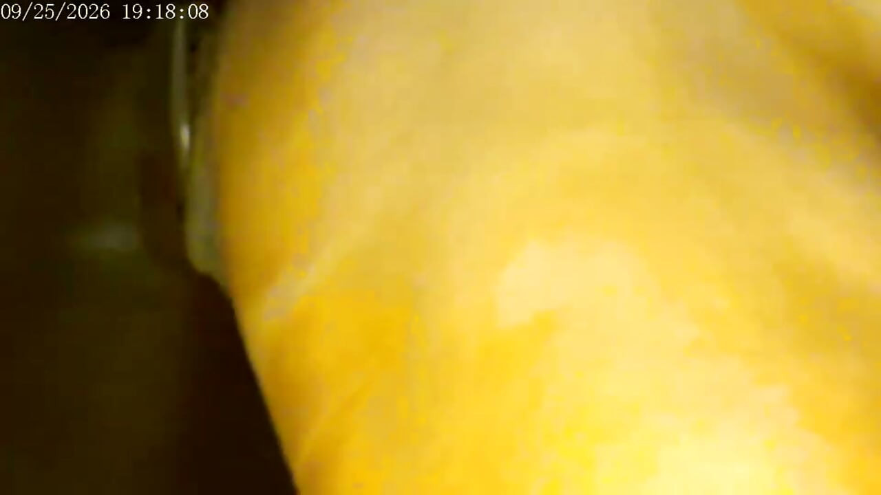 9-25-26 Cam 2 Compilation Friday Friends Day Toy Ride Thank You for Driving My Ranking and Revenue Love to You All.