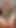 Beautiful Teen Femboy Fucked Anal