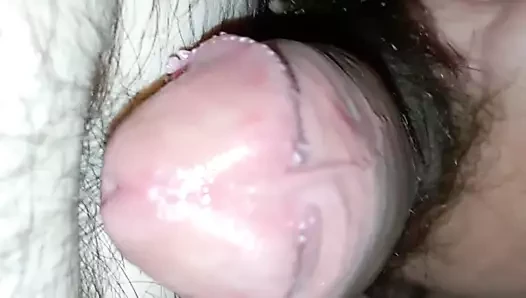 Xxxx Tube