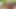 Priya bhabhi ko video bana kar bheja aapne lund ka deshi boy big black 12 inch land India