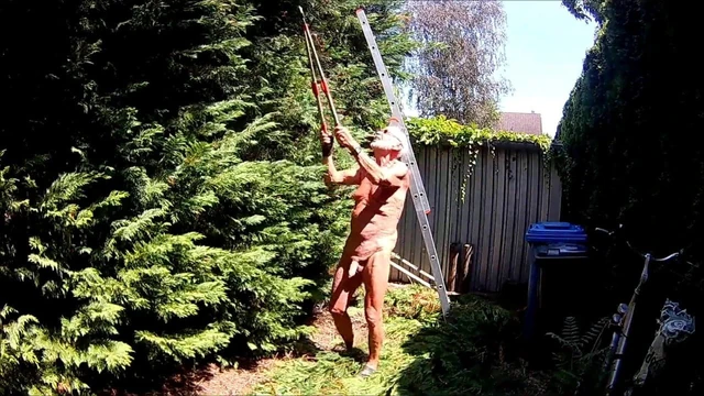 Grandpa tree trimmer