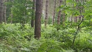 Hodajući golo stopalo i gola iz auta za drkanje u šumi