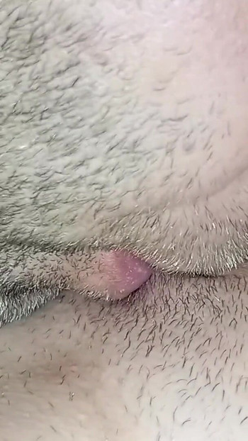 Unforgettable moment from "She loves it when I lick her for hours"