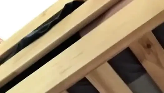 Francesca Palma oda arkadaşımın yarağını emiyor