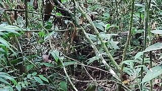 Jonge knappe boswachter masturbeert en komt klaar in de jungle, terwijl hij achter zijn metgezellen blijft